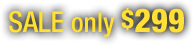 SALE only $299